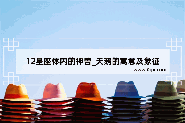 12星座体内的神兽_天鹅的寓意及象征