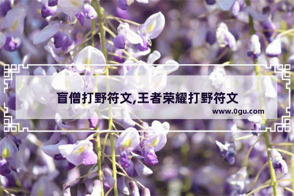 盲僧打野符文,王者荣耀打野符文