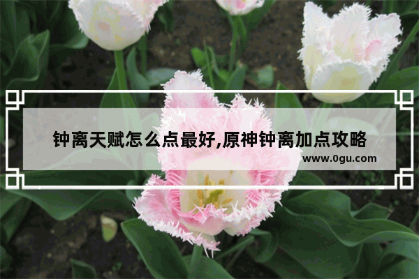 钟离天赋怎么点最好,原神钟离加点攻略