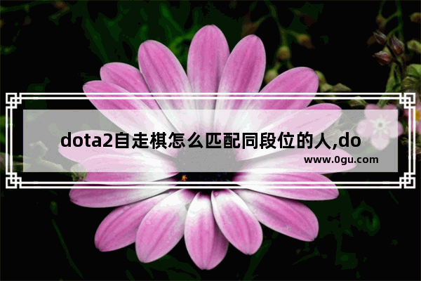 dota2自走棋怎么匹配同段位的人,dota2的mmr怎么查