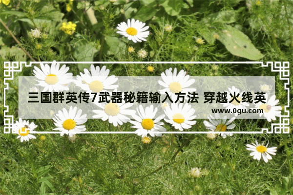 三国群英传7武器秘籍输入方法 穿越火线英雄武器代码