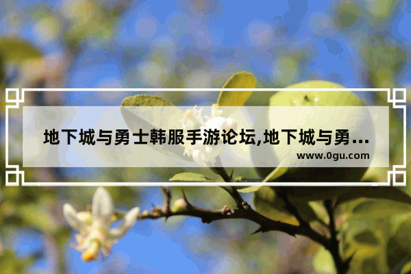 地下城与勇士韩服手游论坛,地下城与勇士韩服手游论坛