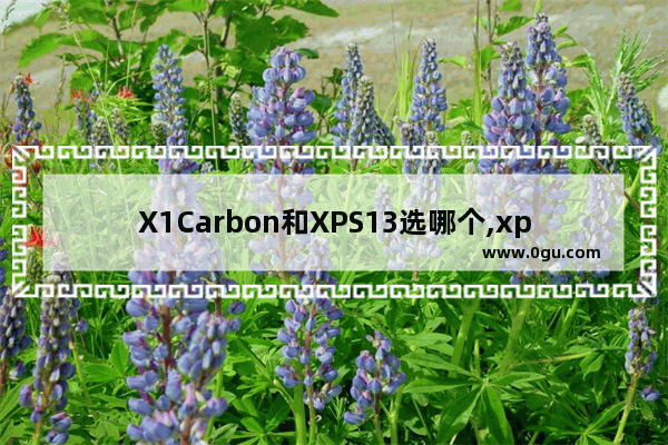 X1Carbon和XPS13选哪个,xps13玩dota2