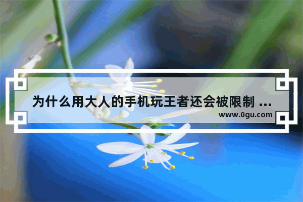 为什么用大人的手机玩王者还会被限制 王者荣耀伤手机吗