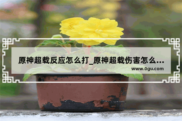 原神超载反应怎么打_原神超载伤害怎么最大化