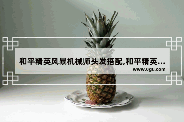 和平精英风暴机械师头发搭配,和平精英和平特警展示套装