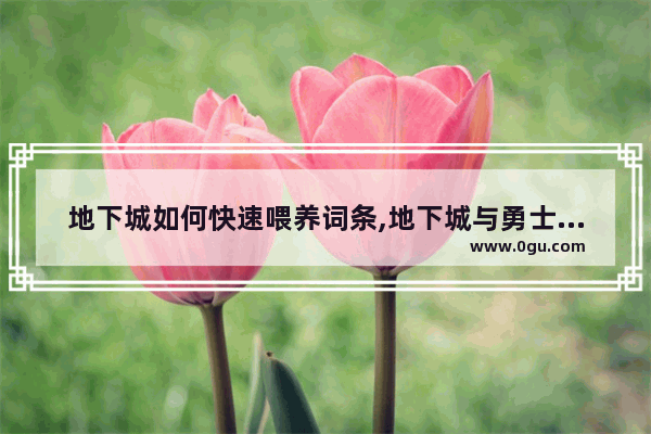 地下城如何快速喂养词条,地下城与勇士词条大全攻略
