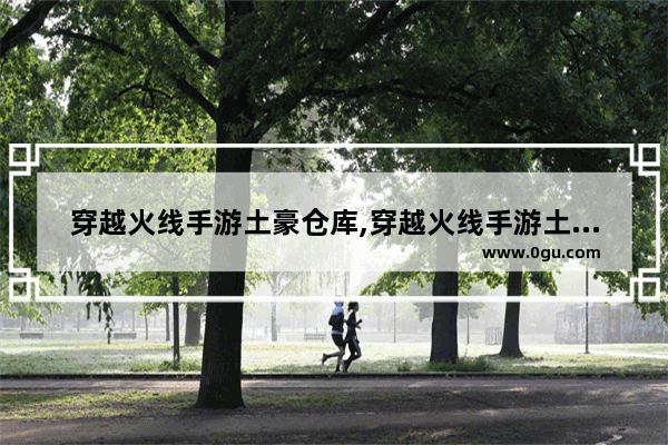 穿越火线手游土豪仓库,穿越火线手游土豪仓库