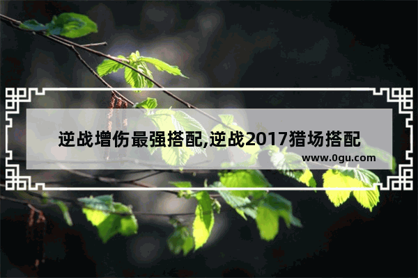 逆战增伤最强搭配,逆战2017猎场搭配