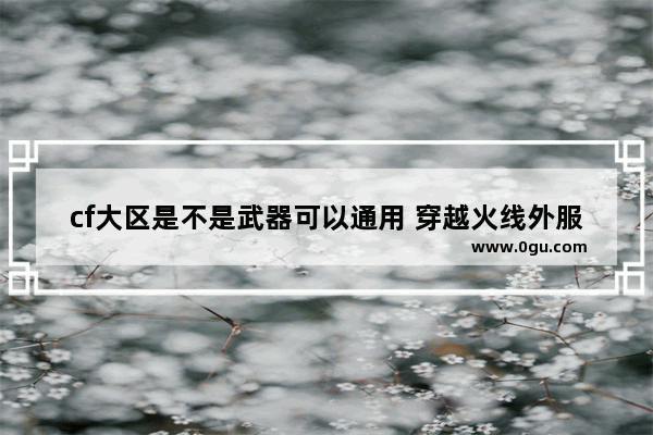 cf大区是不是武器可以通用 穿越火线外服武器大全