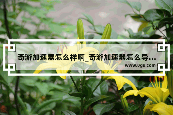 奇游加速器怎么样啊_奇游加速器怎么导入游戏