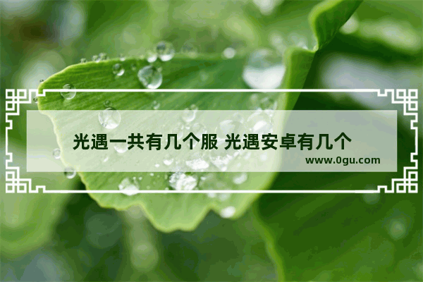 光遇一共有几个服 光遇安卓有几个