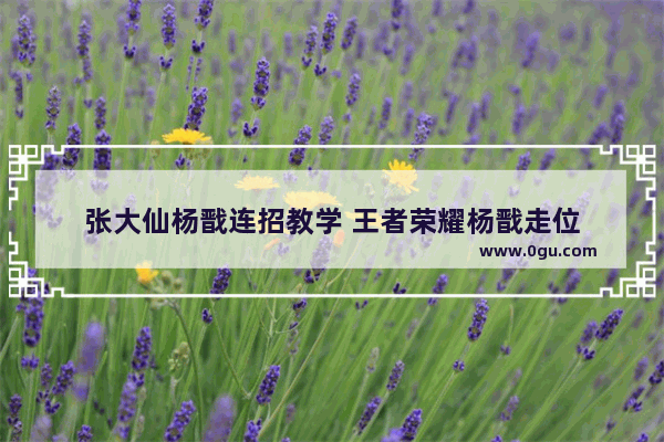 张大仙杨戬连招教学 王者荣耀杨戬走位