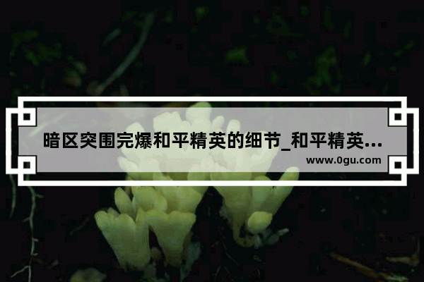 暗区突围完爆和平精英的细节_和平精英密室野餐垫加栏杆怎么过