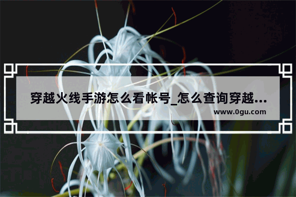 穿越火线手游怎么看帐号_怎么查询穿越火线绑定了几个号