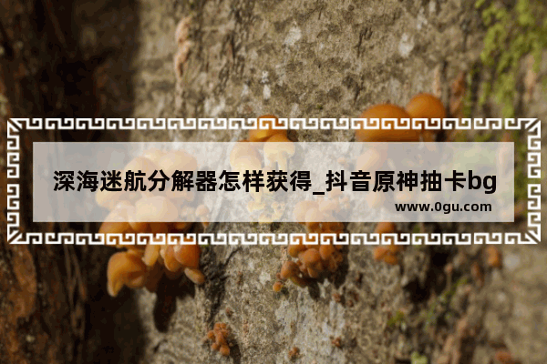 深海迷航分解器怎样获得_抖音原神抽卡bgm是什么