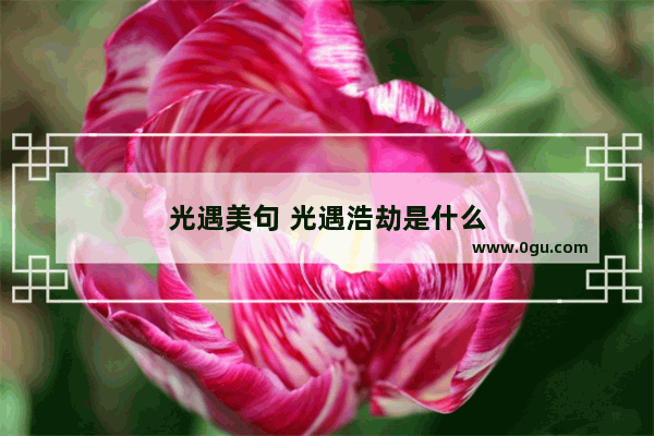 光遇美句 光遇浩劫是什么