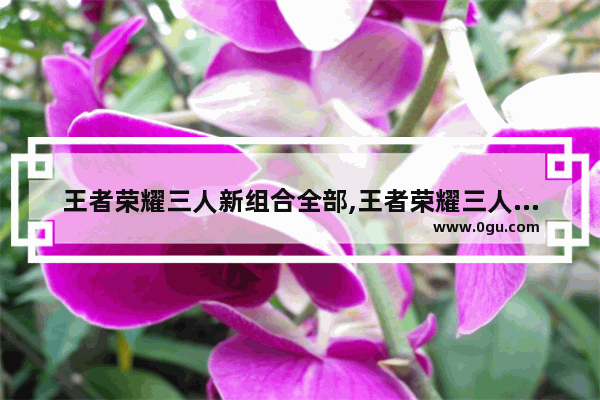 王者荣耀三人新组合全部,王者荣耀三人组合