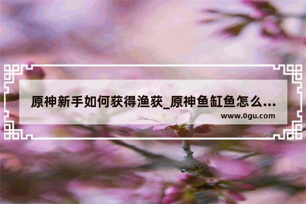 原神新手如何获得渔获_原神鱼缸鱼怎么获得