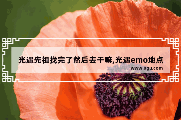 光遇先祖找完了然后去干嘛,光遇emo地点雨林
