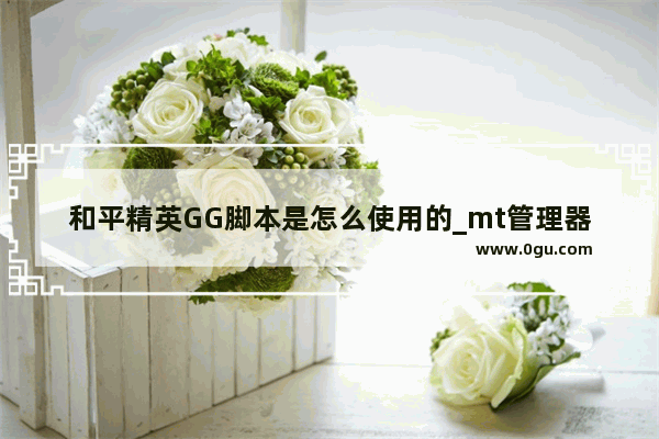 和平精英GG脚本是怎么使用的_mt管理器修改和平精英范围