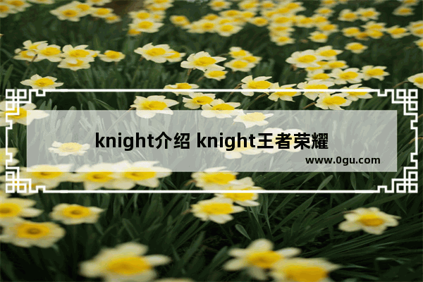 knight介绍 knight王者荣耀