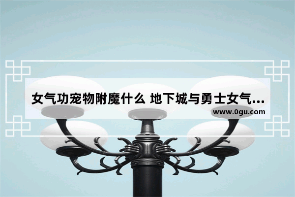 女气功宠物附魔什么 地下城与勇士女气功师附魔