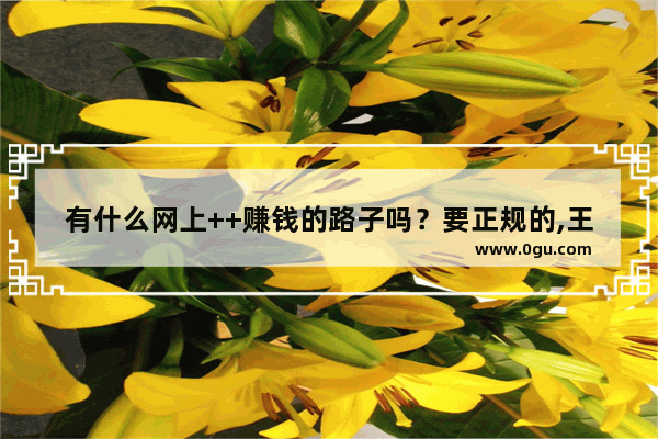 有什么网上++赚钱的路子吗？要正规的,王者荣耀进货