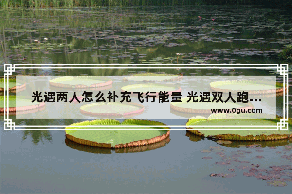 光遇两人怎么补充飞行能量 光遇双人跑步风景