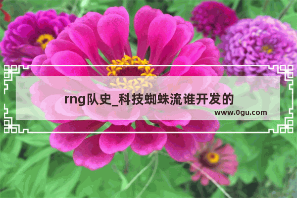 rng队史_科技蜘蛛流谁开发的