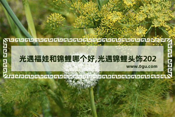 光遇福娃和锦鲤哪个好,光遇锦鲤头饰2020