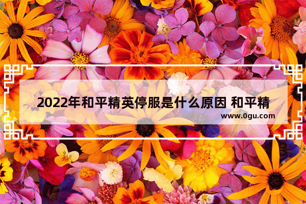 2022年和平精英停服是什么原因 和平精英丧尸2022