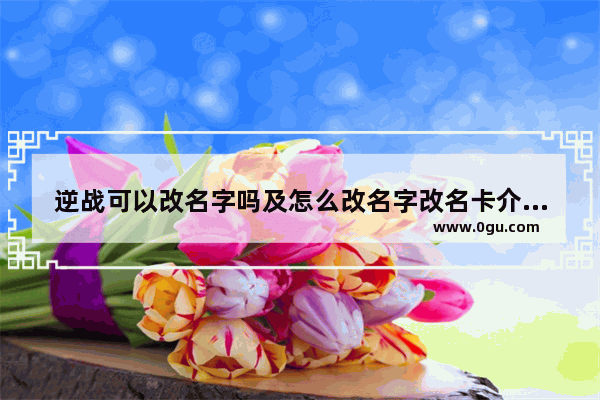 逆战可以改名字吗及怎么改名字改名卡介绍说,逆战修改客户端