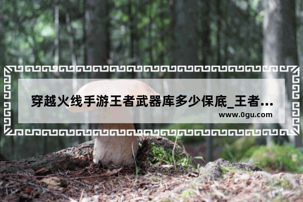 穿越火线手游王者武器库多少保底_王者武器库里面有什么