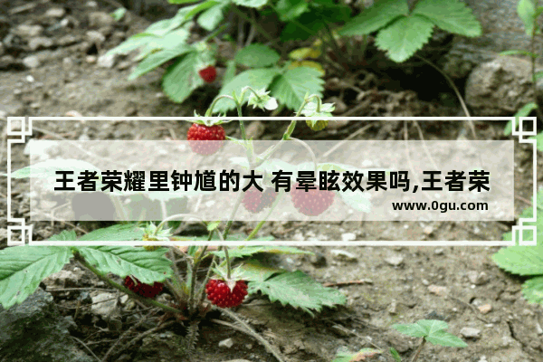 王者荣耀里钟馗的大 有晕眩效果吗,王者荣耀钟馗加点