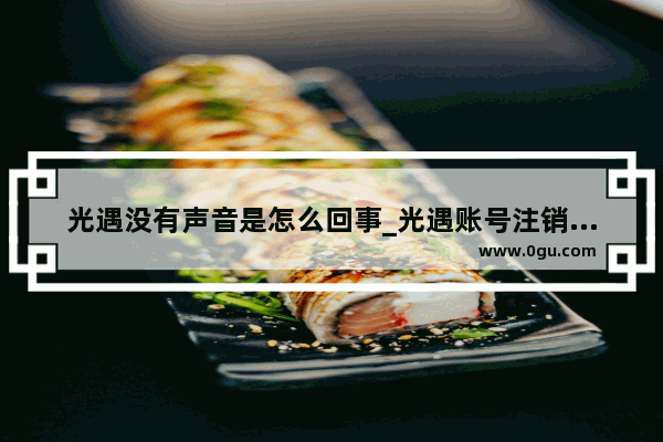 光遇没有声音是怎么回事_光遇账号注销一直接收不到短信