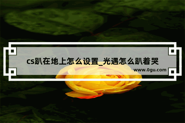cs趴在地上怎么设置_光遇怎么趴着哭