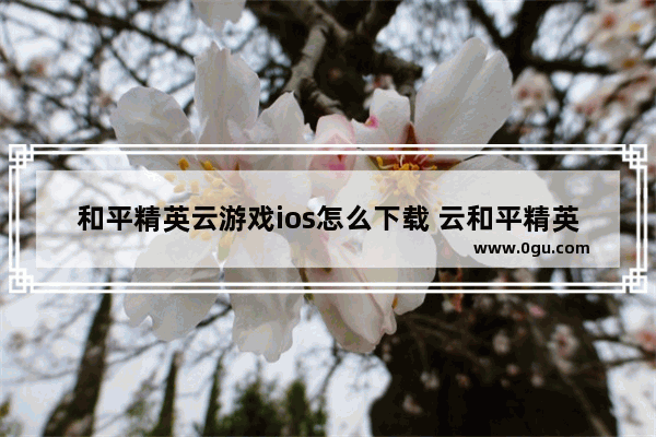 和平精英云游戏ios怎么下载 云和平精英苹果