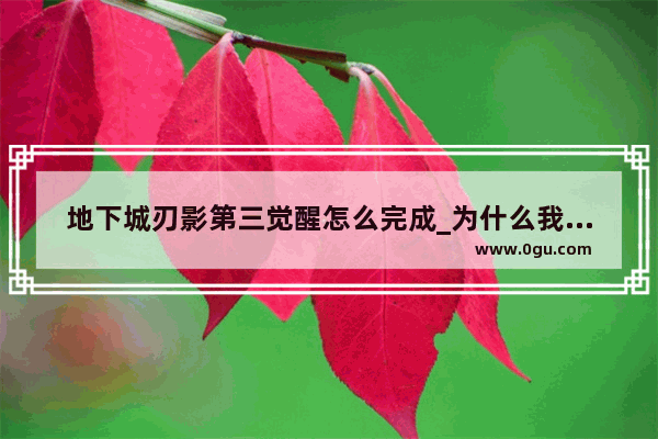 地下城刃影第三觉醒怎么完成_为什么我的刃影没有三觉