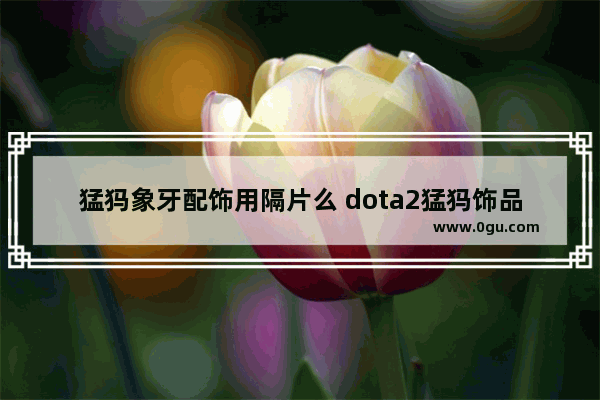 猛犸象牙配饰用隔片么 dota2猛犸饰品