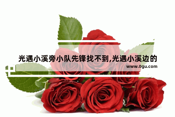 光遇小溪旁小队先锋找不到,光遇小溪边的