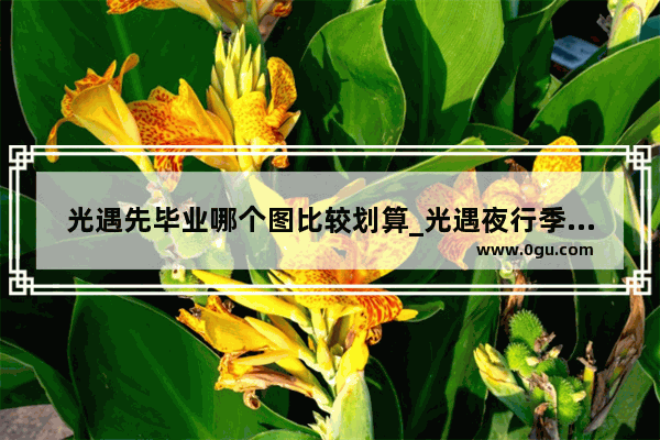 光遇先毕业哪个图比较划算_光遇夜行季毕业礼值得吗