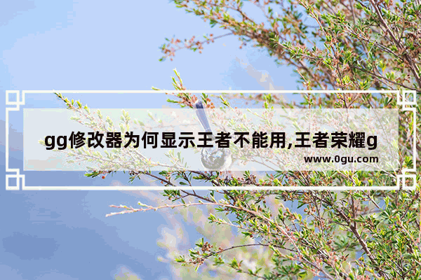 gg修改器为何显示王者不能用,王者荣耀gg助手