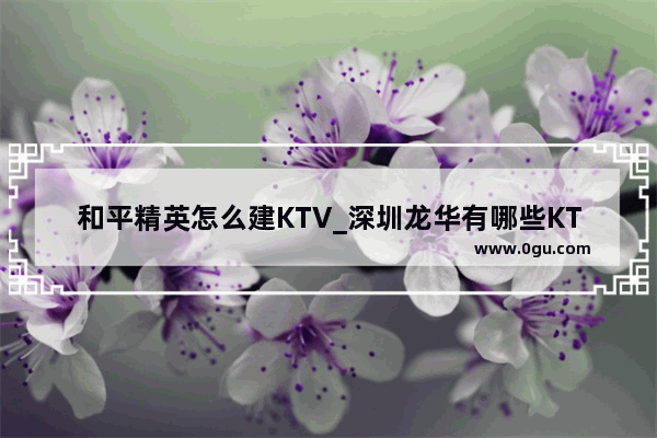 和平精英怎么建KTV_深圳龙华有哪些KTV