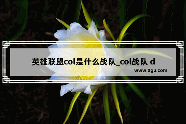 英雄联盟col是什么战队_col战队 dota2