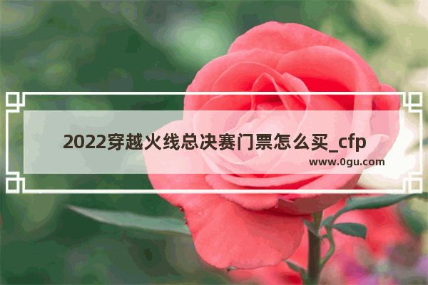 2022穿越火线总决赛门票怎么买_cfpls22总决赛怎么买票