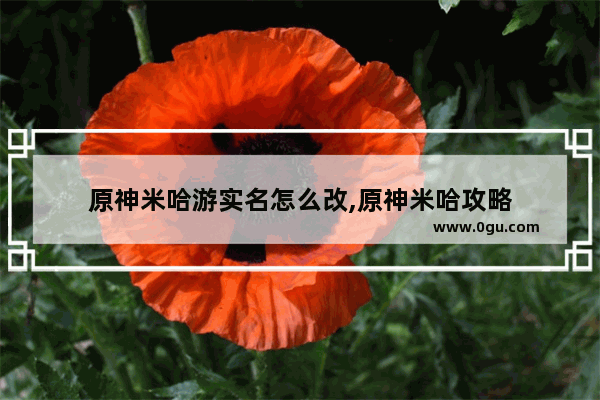 原神米哈游实名怎么改,原神米哈攻略
