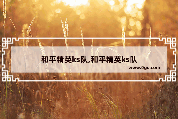 和平精英ks队,和平精英ks队