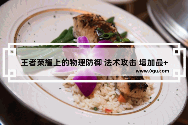 王者荣耀上的物理防御 法术攻击 增加最++力xxx 和物理吸血 攻速 都是什么意思?增加物理攻击,王者荣耀法术强度