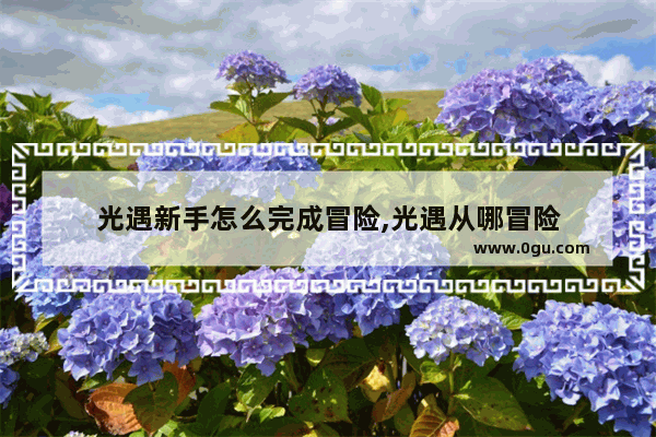 光遇新手怎么完成冒险,光遇从哪冒险